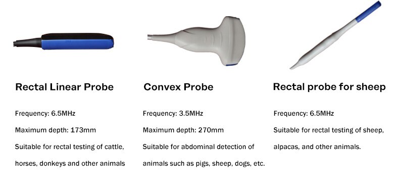 Portable Veterinary Ultrasound BXL-V50(图7)