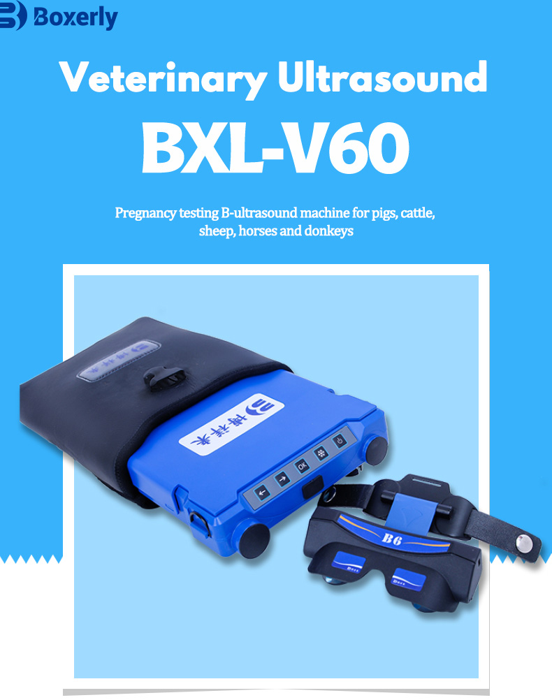 Portable Veterinay Ultrasound Machine(图1)