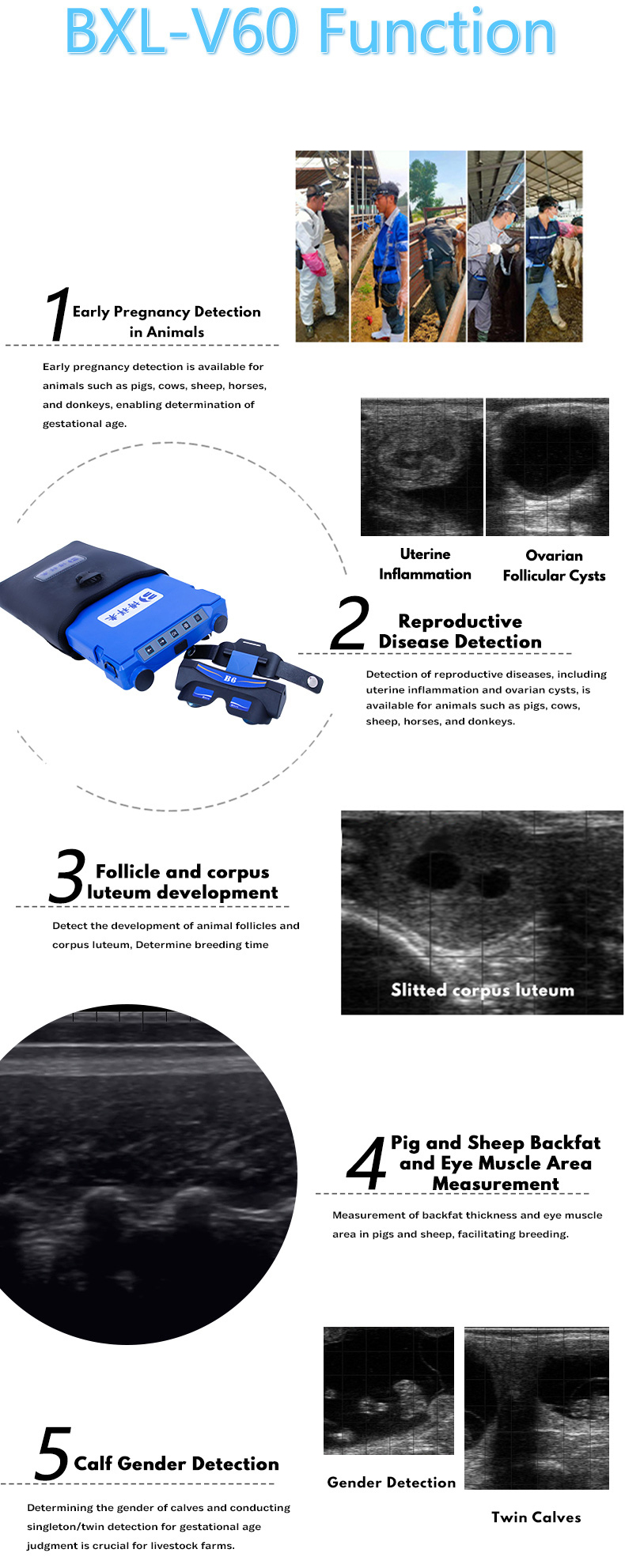 Portable Veterinay Ultrasound Machine(图6)