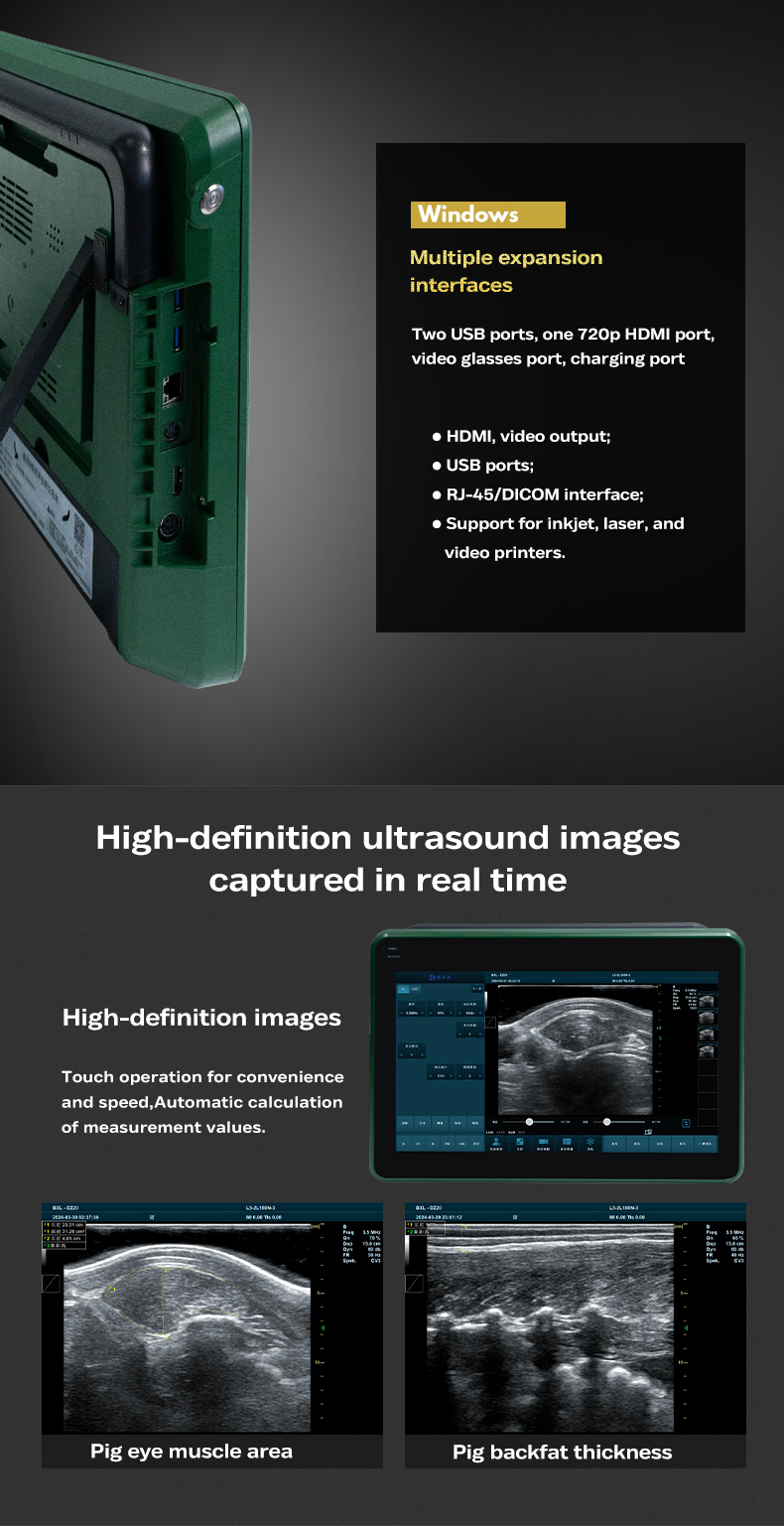 BXL-DZ20 veterinary color Doppler ultrasound(图4)