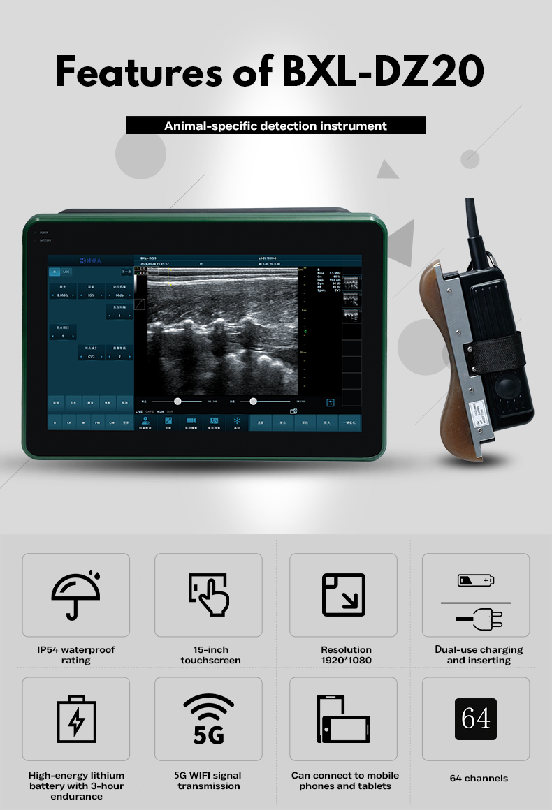 BXL-DZ20 veterinary color Doppler ultrasound(图5)