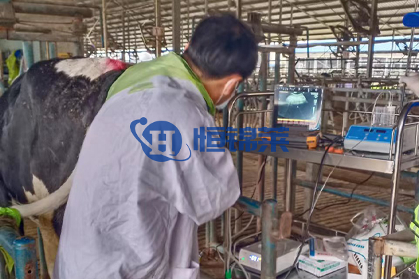 BXL veterinary ultrasoud instrument Hengjinlai case(图3)