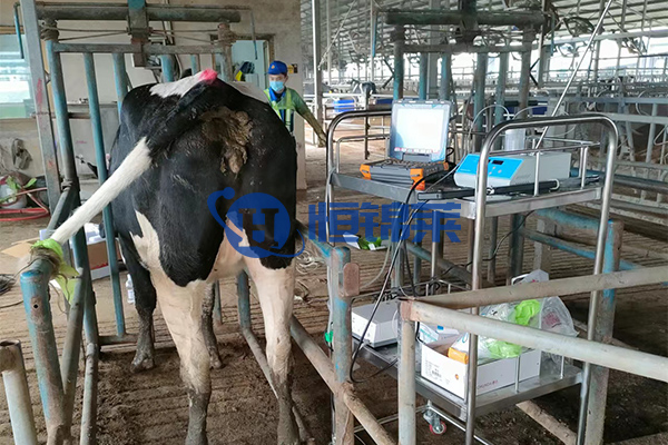 BXL veterinary ultrasoud instrument Hengjinlai case(图7)