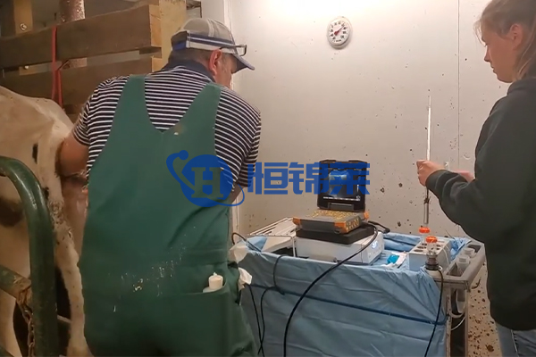 BXL veterinary ultrasoud instrument Hengjinlai case(图8)