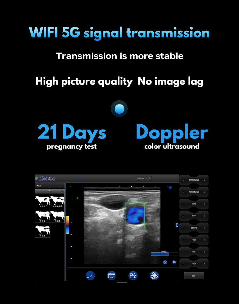 BXL-S200 Wireless Portable Veterinary Doppler Ultrasound(图3)