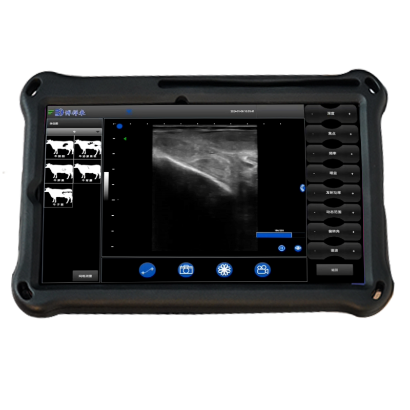 BXL-S200 Wireless Color Ultrasound for Cows, Horses & Donkeys | Rectal Probe | HD