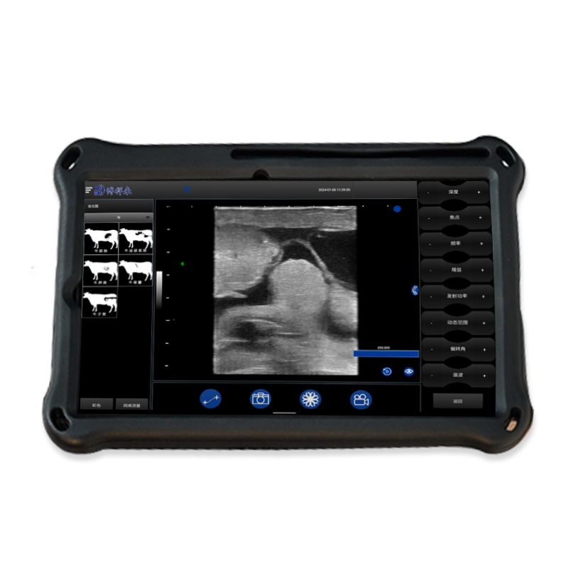 Precautions for use and maintenance of veterinary B-ultrasound instrument(图1)