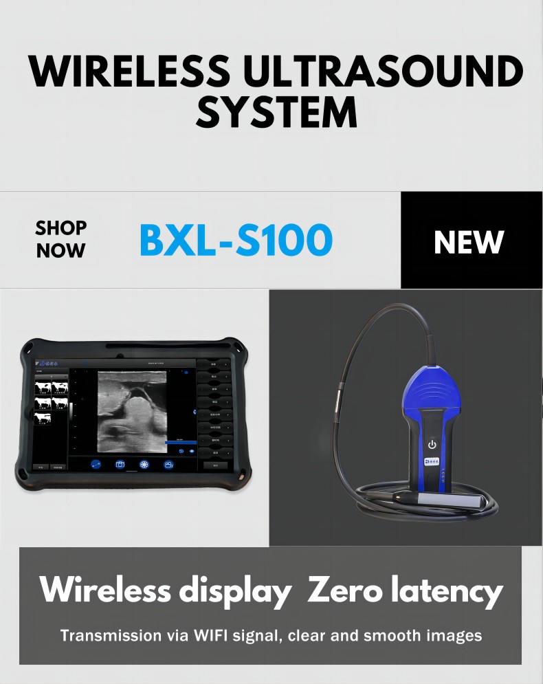 Wireless Veterinary Ultrasound Machine BXL -s100(图1)