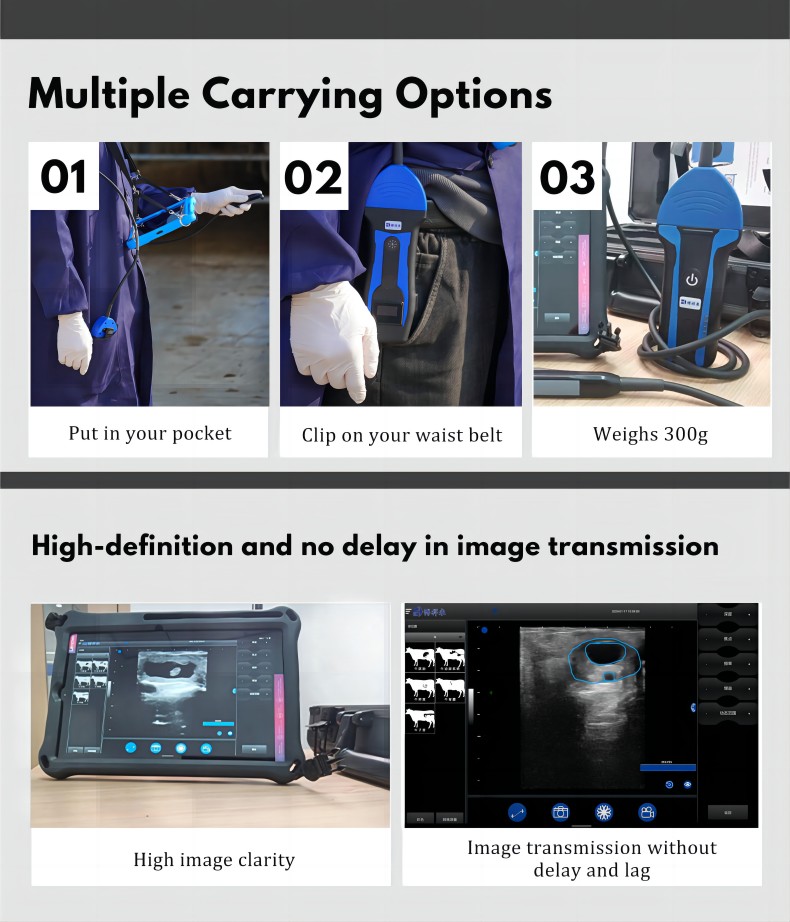 Wireless Veterinary Ultrasound Machine BXL -s100(图3)