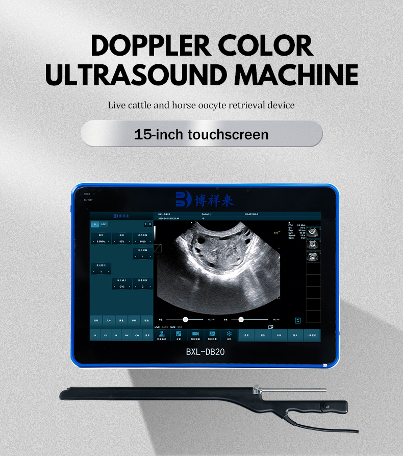 Color Doppler Cattle OPU veterinary ultrasound machine BXL-DB20(图1)