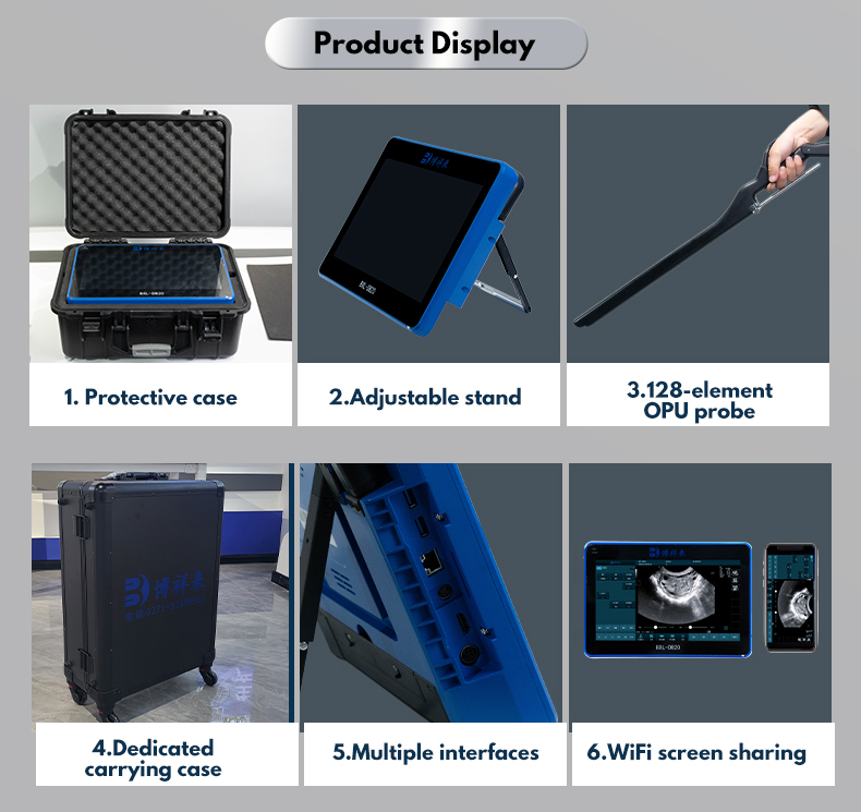 Color Doppler Cattle OPU veterinary ultrasound machine BXL-DB20(图6)