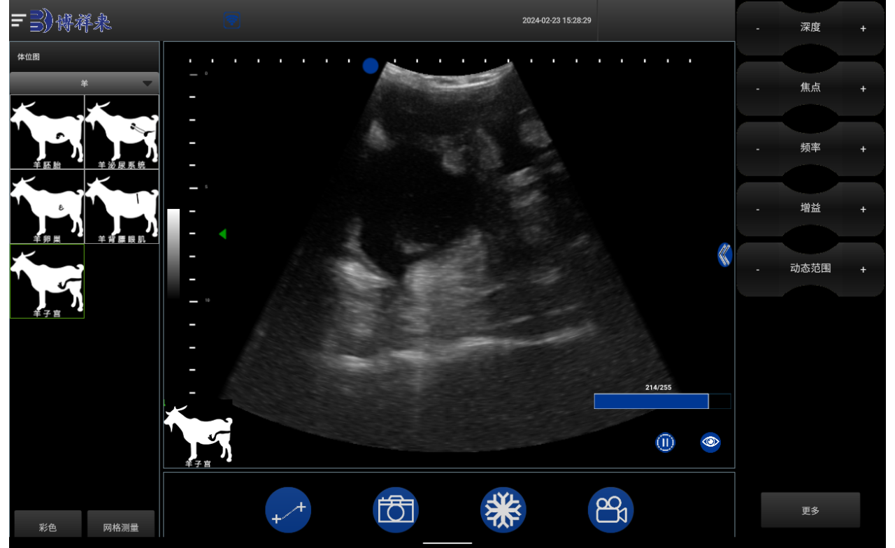 Advantages and significance of veterinary B-mode ultrasound imaging diagnosis technology(图1)