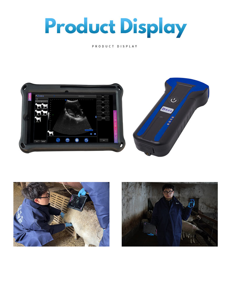 Wireless Ultrasound System For Sheep(图4)