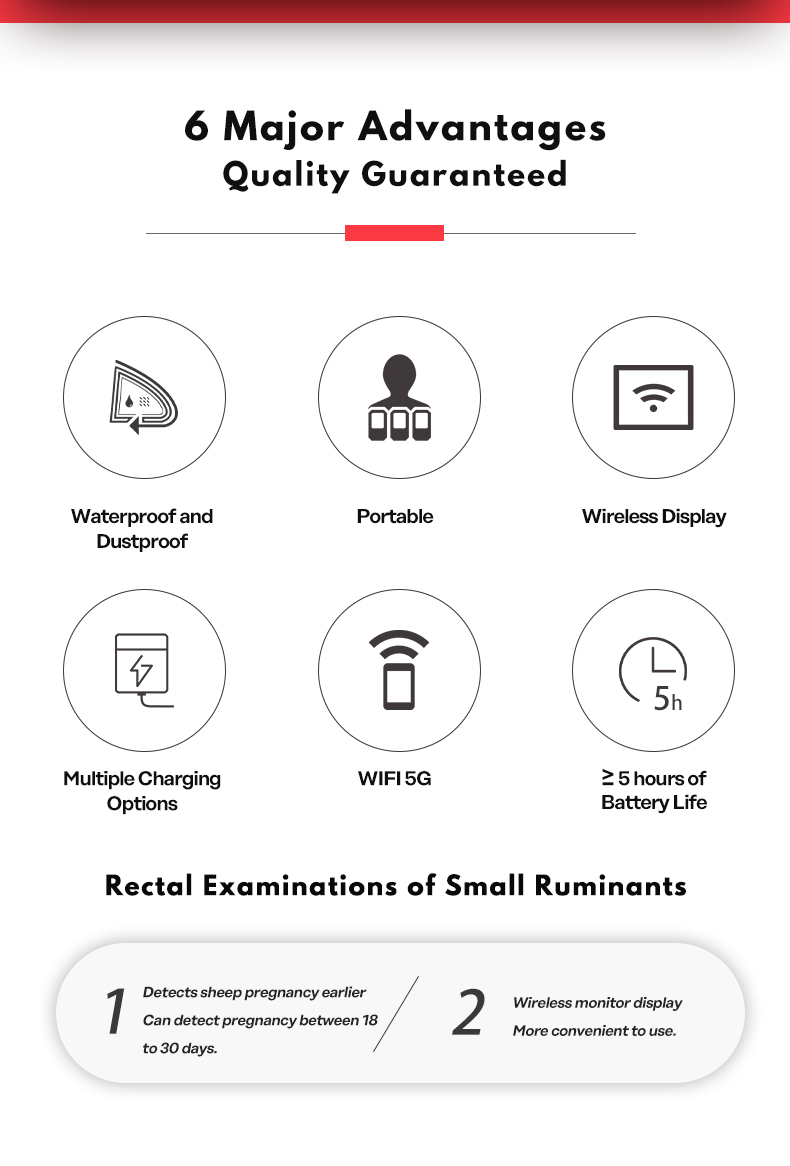 Wireless Veterinary Ultrasound System For Sheep(图2)