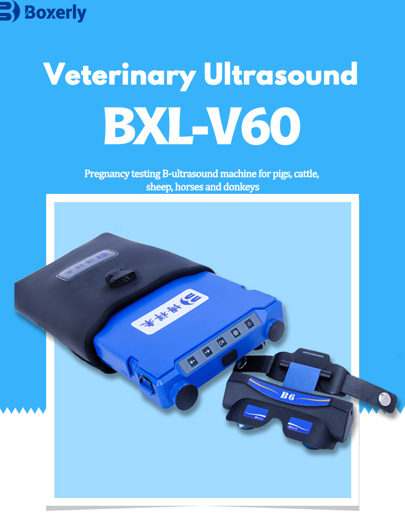 Portable Veterinay Ultrasound Machine