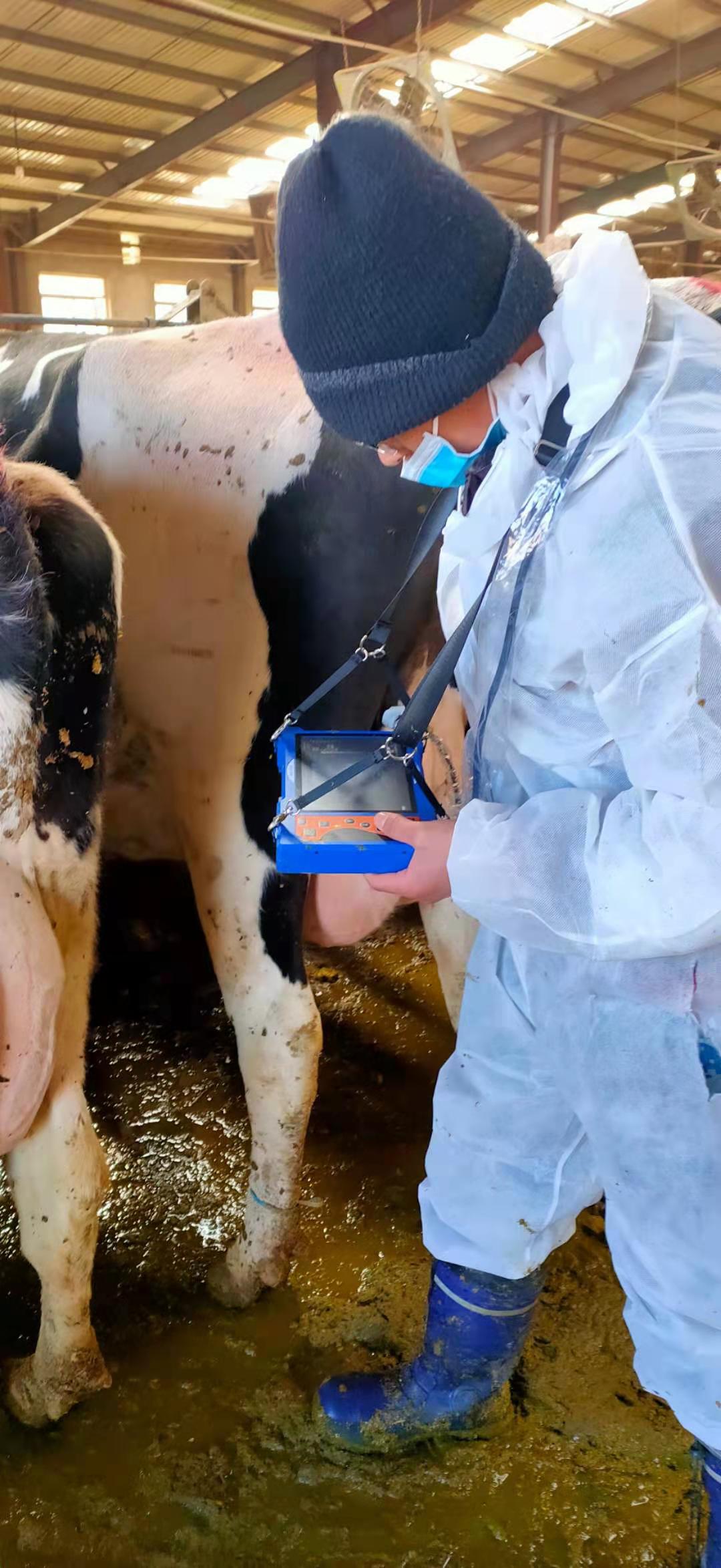 Hebei Chengde Cattle Farm BXL-v50 veterinary ultrasound instrument detection(图5)