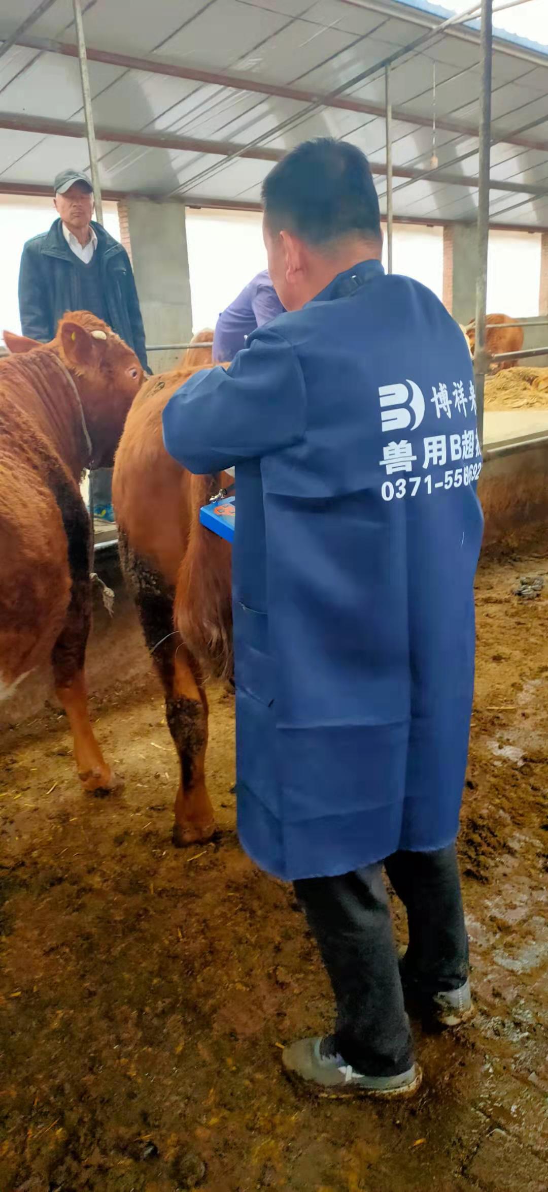 Gansu beef farm BXL-v50 veterinary ultrasound instrument detection(图9)