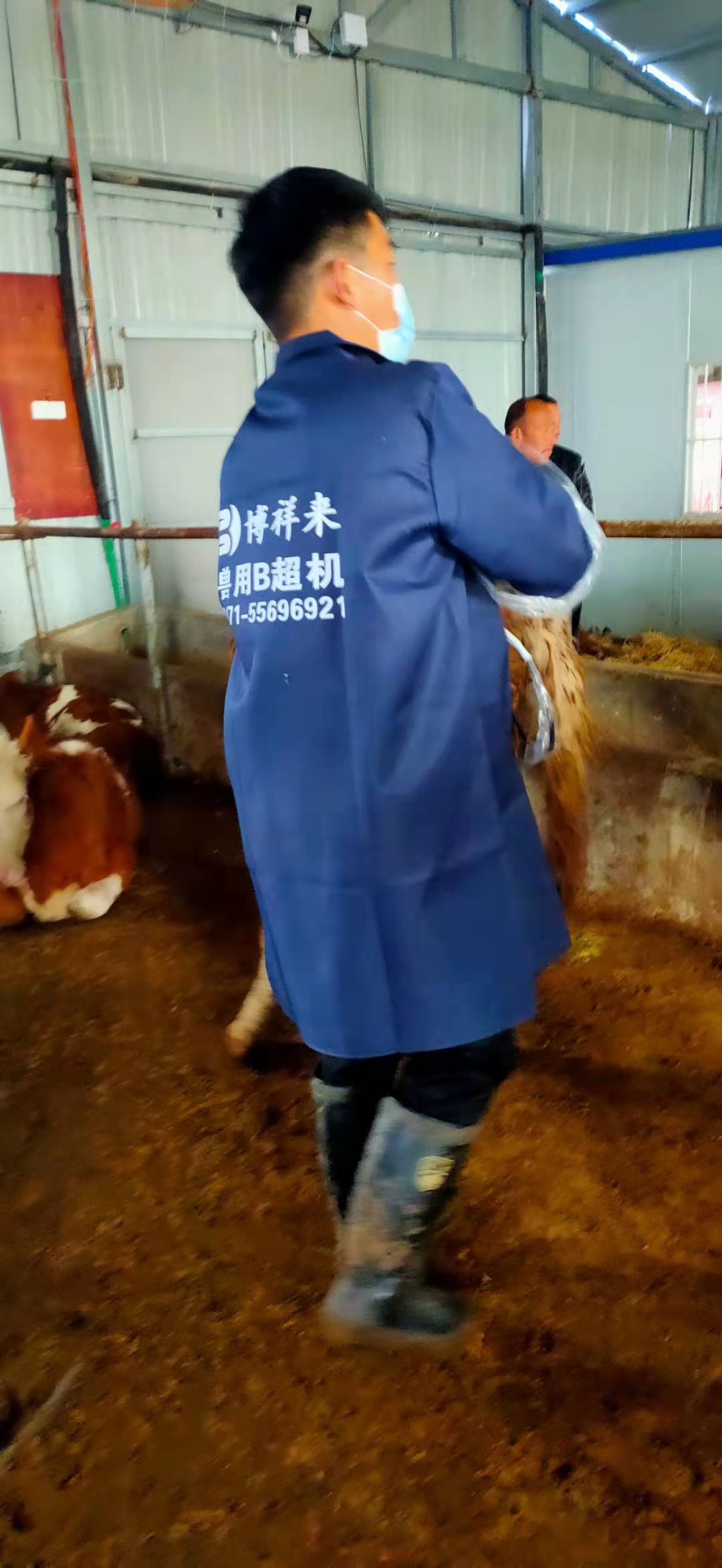 Anhui cattle farm BXL-v50 veterinary ultrasound instrument detection(图2)