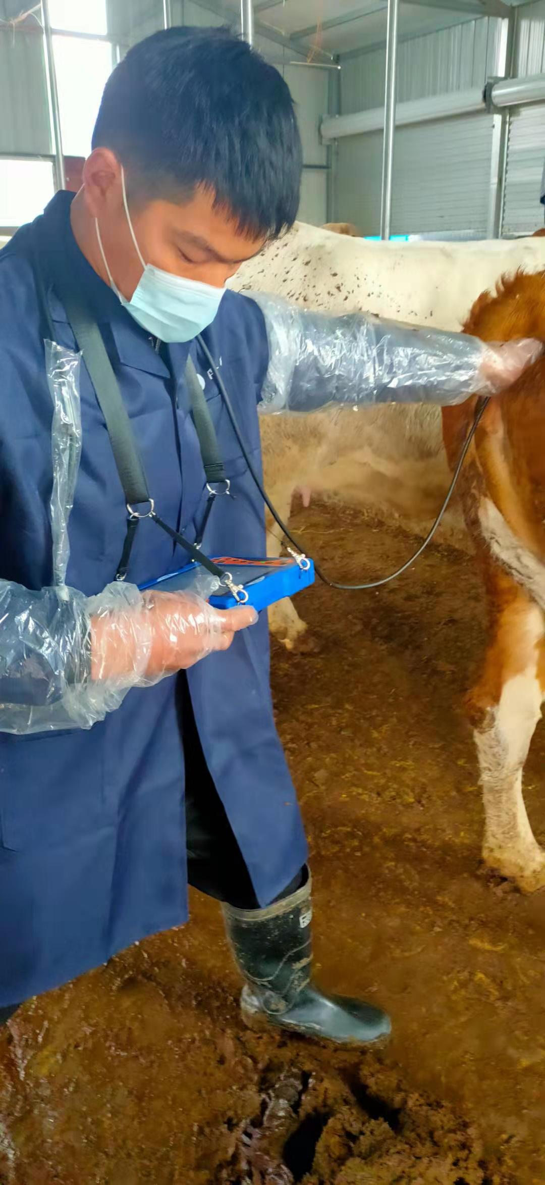 Anhui cattle farm BXL-v50 veterinary ultrasound instrument detection(图11)