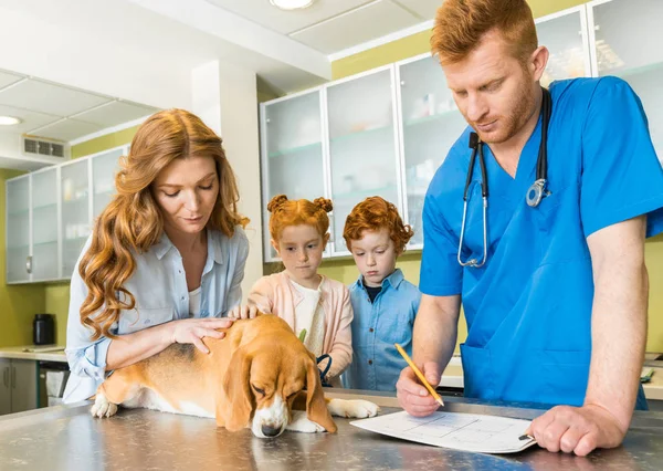 Vet with Ultrasound Near Me: How to Find the Right Veterinary Ultrasound Services for Your Pet(图1)