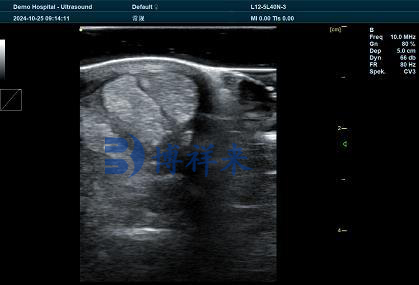 Ultrasound Equipment Improves Veterinary Diagnosis and Treatment Efficiency(图1)