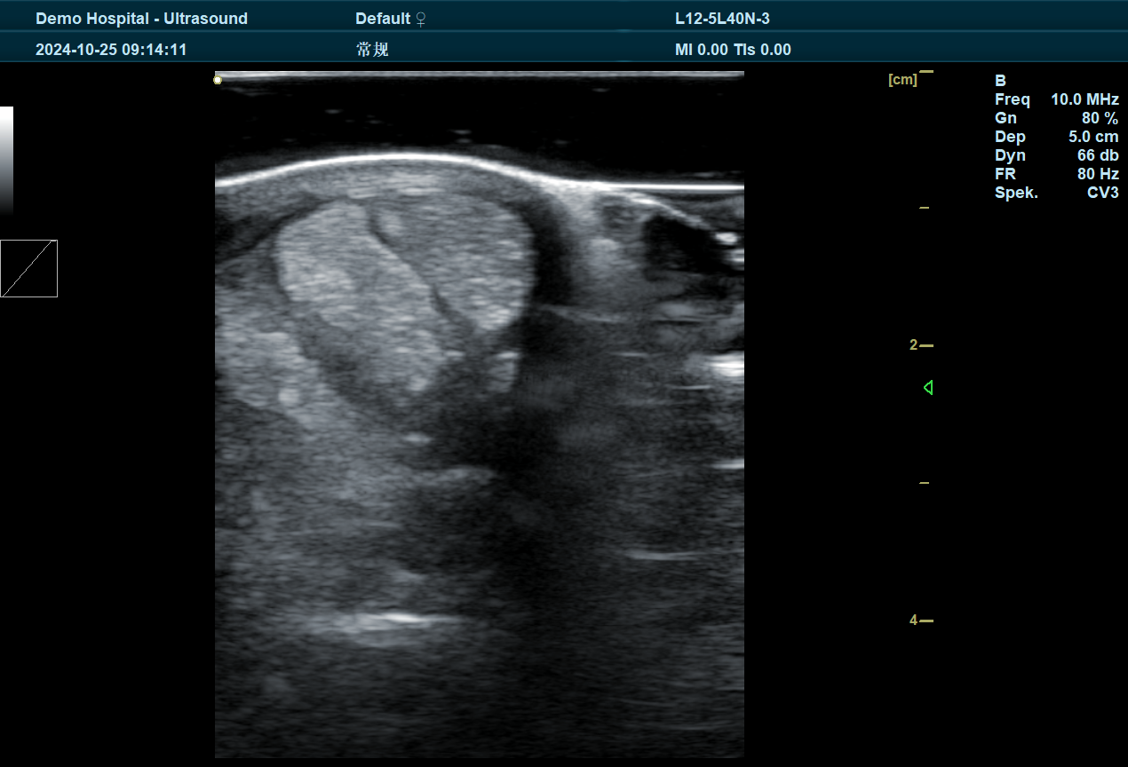 BXL Veterinary Ultrasound: Elevating Veterinary Diagnostics with Precision Imaging(图1)