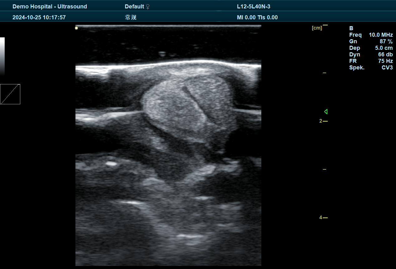 Veterinary Radiology and Ultrasound Author Guidelines: Insights from BXL Veterinary Ultrasound(图1)