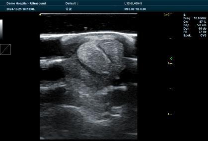 Veterinary Ultrasonic Detection: Revolutionizing Animal Health Diagnostics(图1)