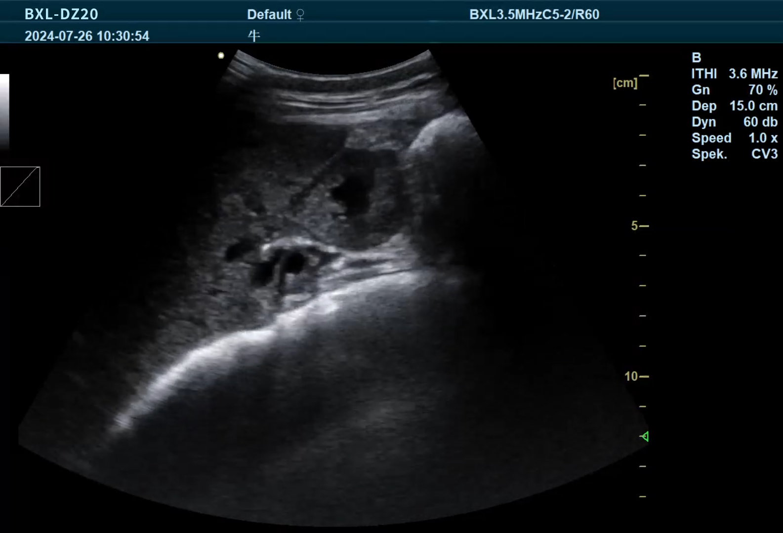 Ultrasound Detection of Cow Pregnancy in Animals: An Essential Tool for Modern Farming(图1)