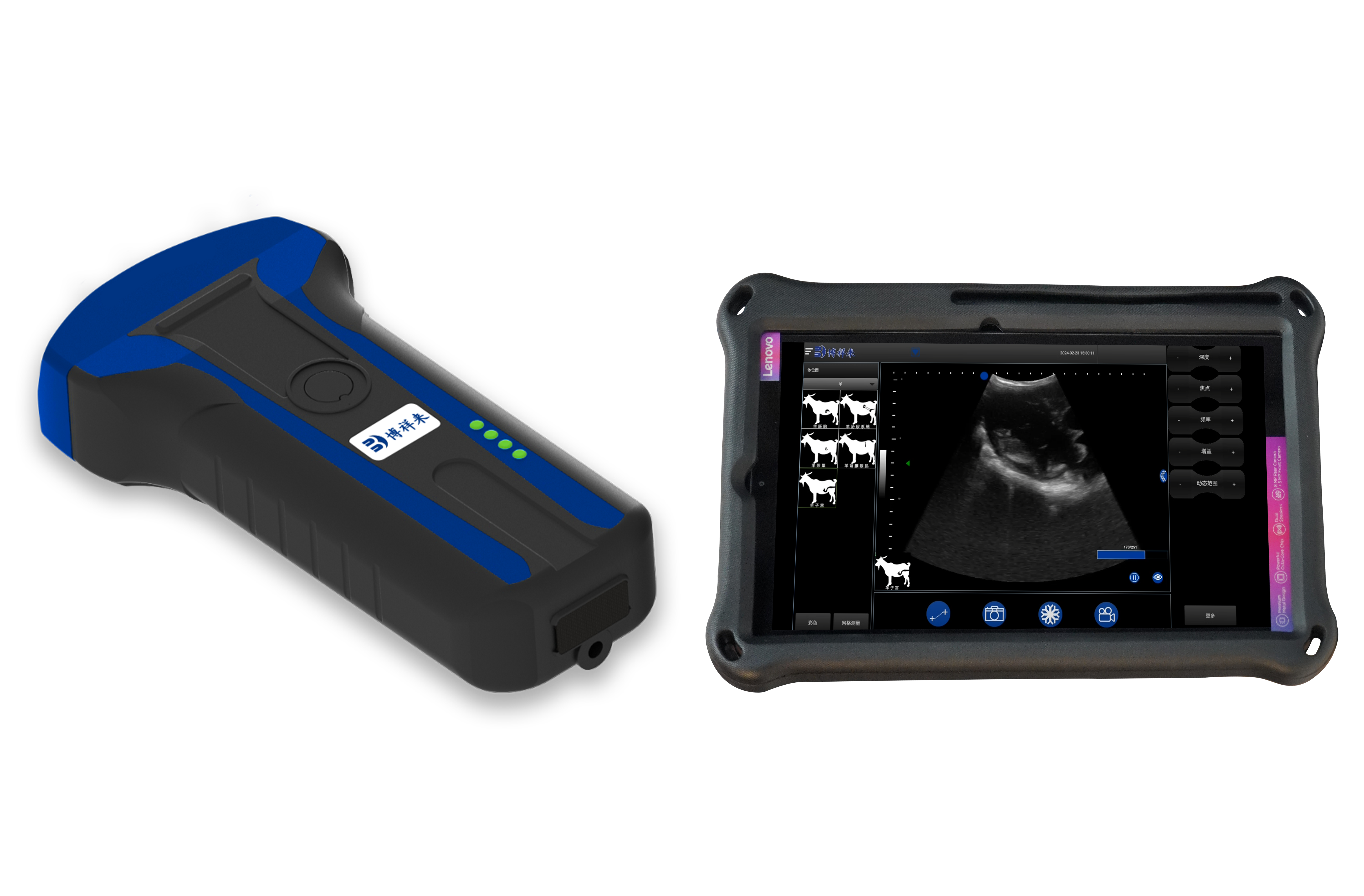 Application of BXL Veterinary Ultrasound in Farm(图1)