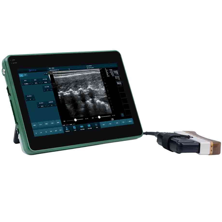 BXL Veterinary Back Fat Eye Muscle Ultrasound Instrument Price(图1)