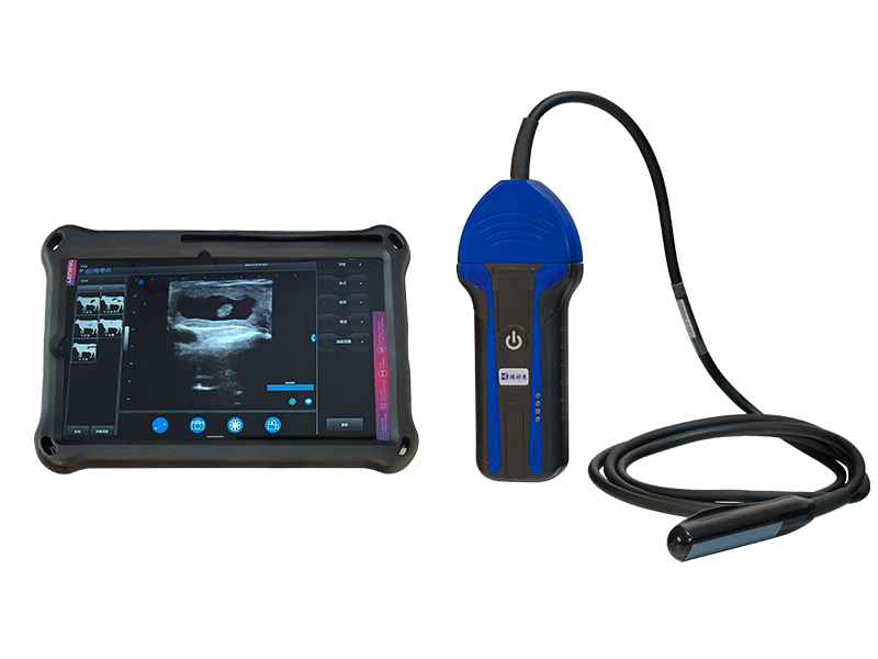 BXL-S100 Veterinary Ultrasound for Cattle, Horses & Donkeys | Rectal Probe | B&W Imaging