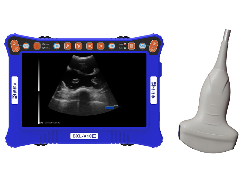 Portable USG veterinary ultrasound Machine BXL -V10Ⅲ