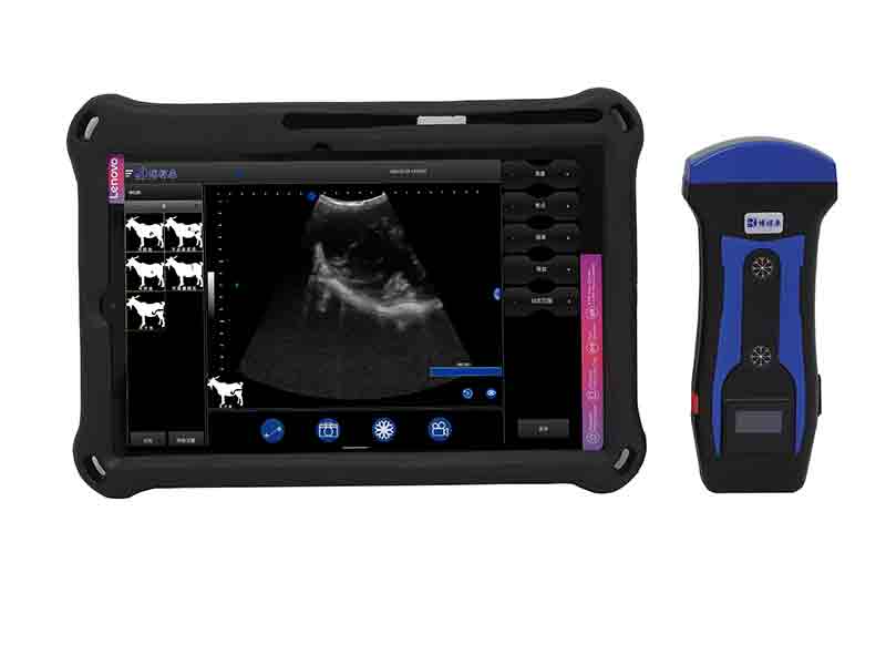 BXL-S201 Pig and Sheep Abdominal Ultrasound Convex Probe