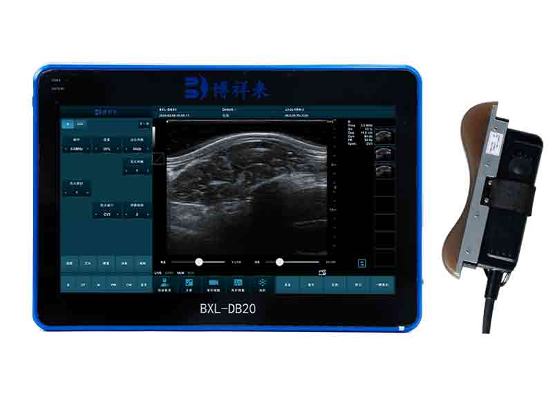 BXL Veterinary Back Fat Ultrasound Price(图1)