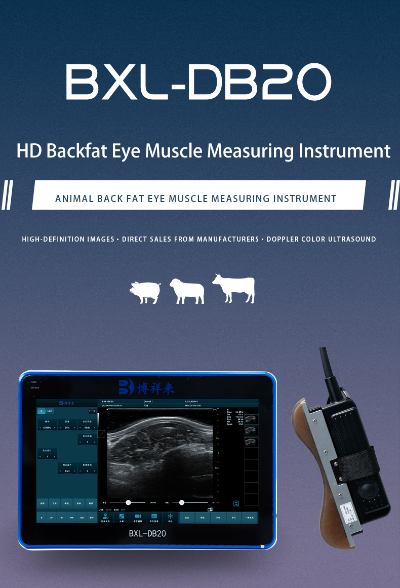 DB20 Back Fat eyes muscle measuring instrument(图1)