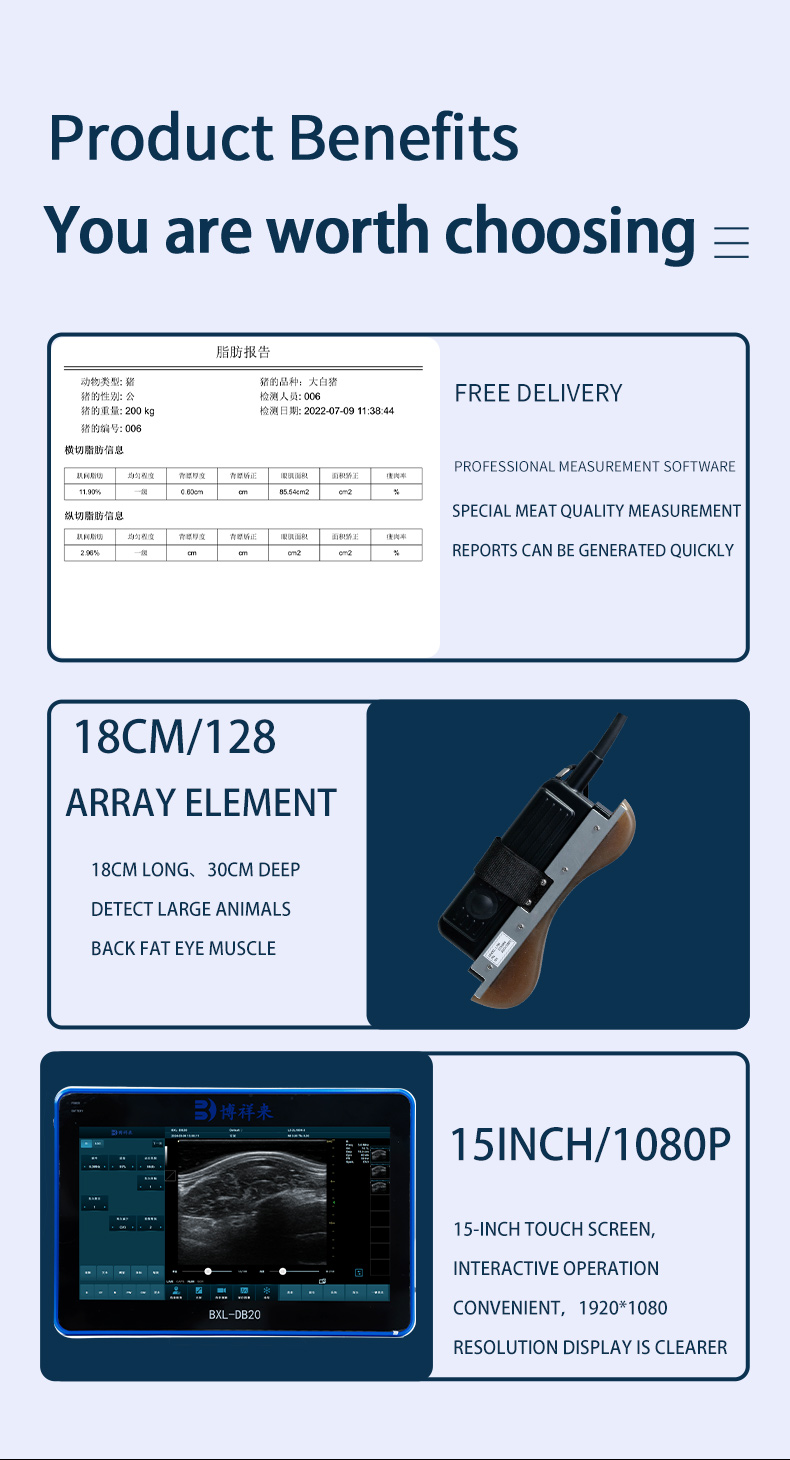 DB20 Back Fat eyes muscle measuring instrument(图4)