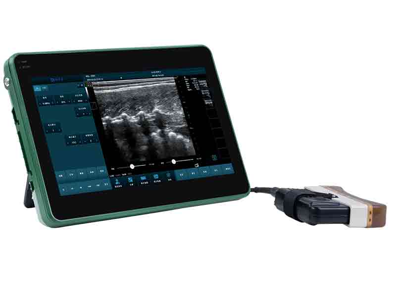 BXL-DZ20 Backfat and Eye Muscle Area Measuring Device for Pigs and Cattle