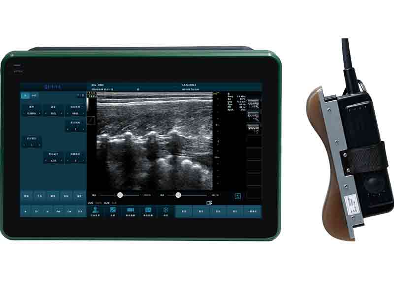 BXL-DZ20 Backfat and Eye Muscle Area Measuring Device for Pigs and Cattle