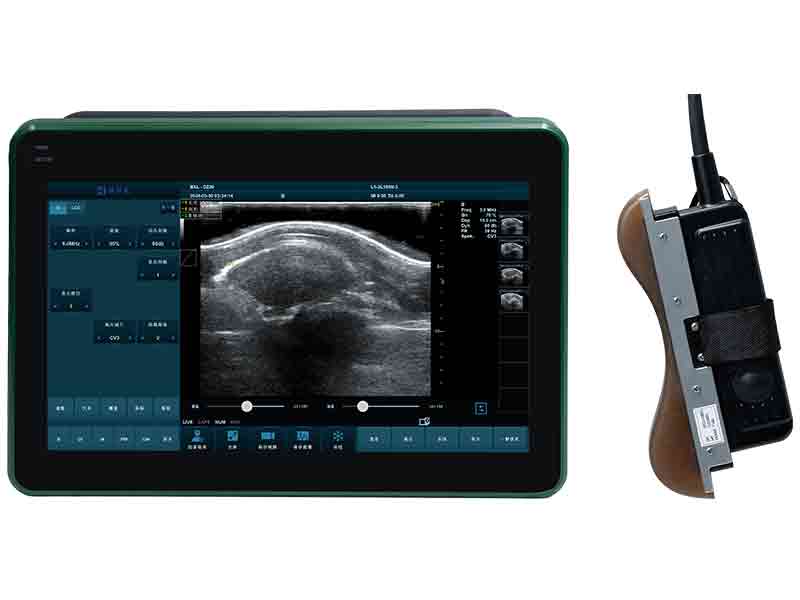 BXL-DZ20 Backfat and Eye Muscle Area Measuring Device for Pigs and Cattle