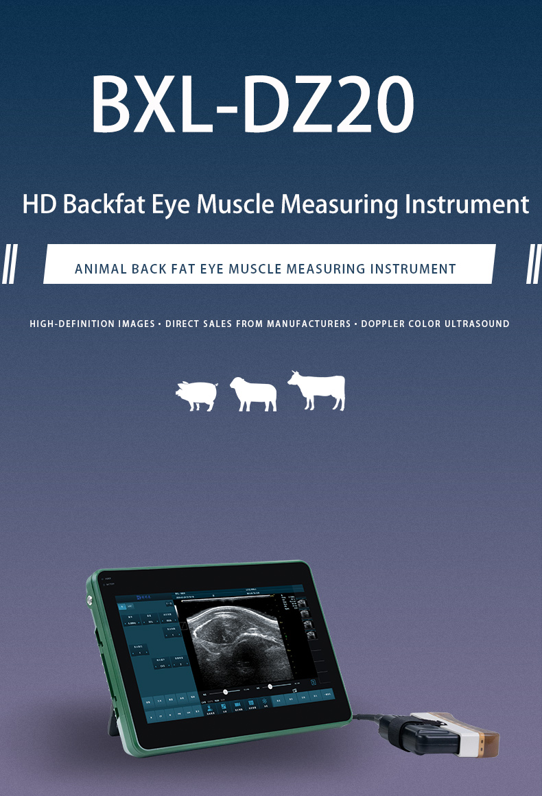 BXL-DZ20 Veterinary back fat eye muscle measuring instrument(图1)