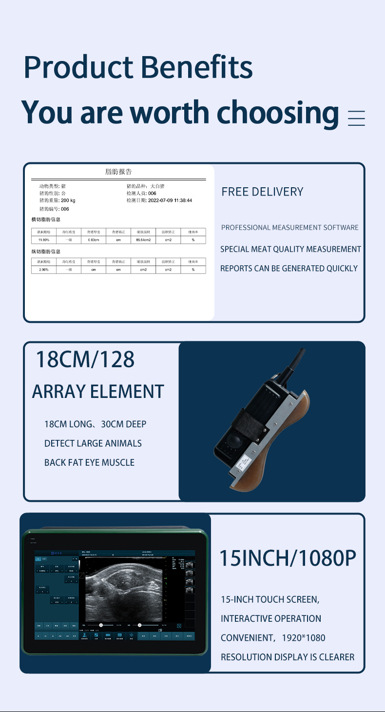 BXL-DZ20 Veterinary back fat eye muscle measuring instrument(图4)