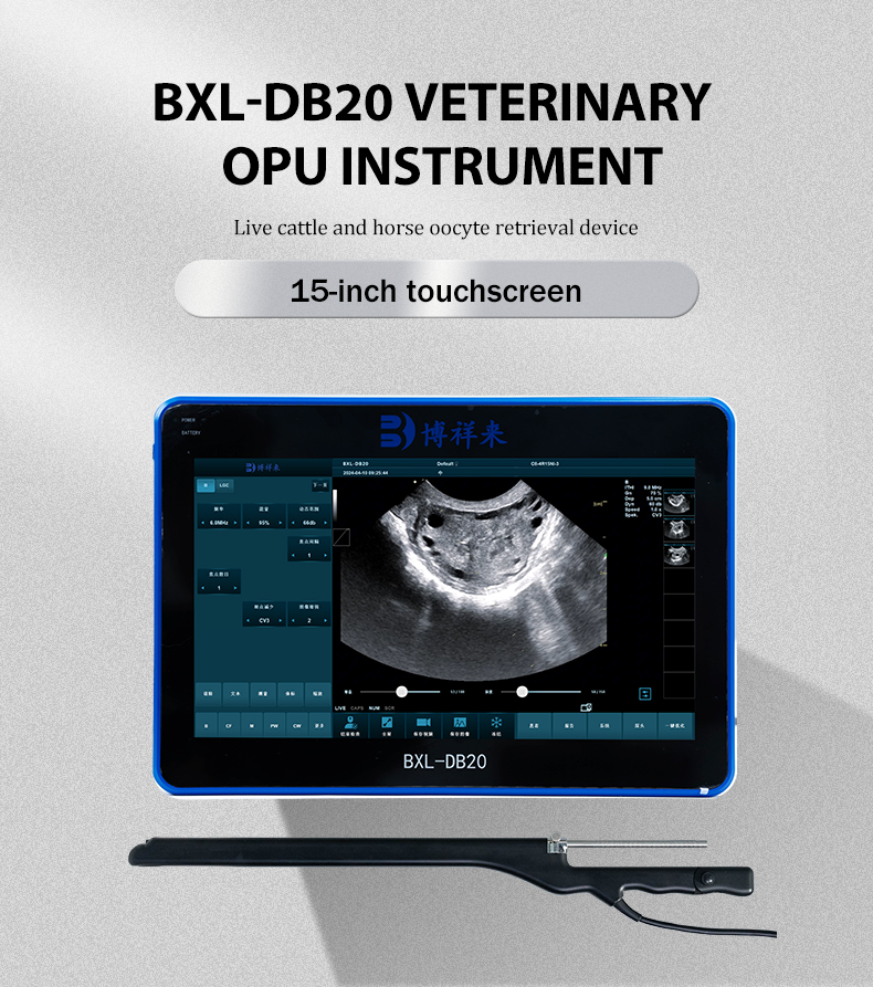 BXL-DB20 Veterinary OPU Doppler veterinary ultrasound device(图1)