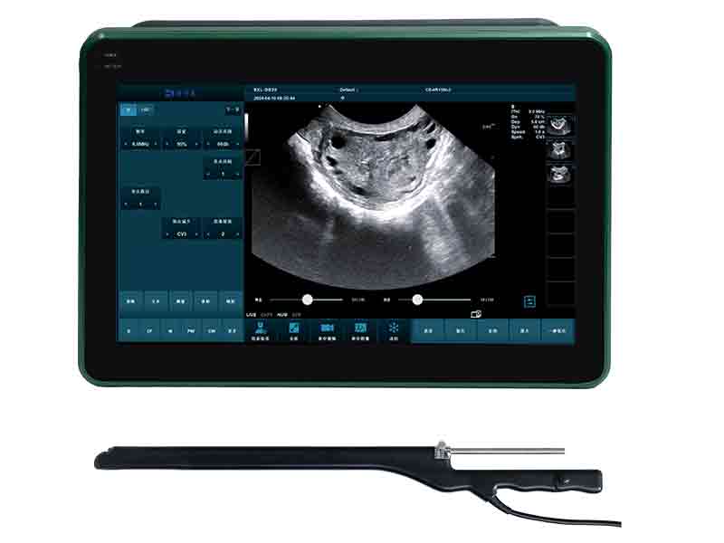 BXL-DZ20 Veterinary OPU Ultrasound Device