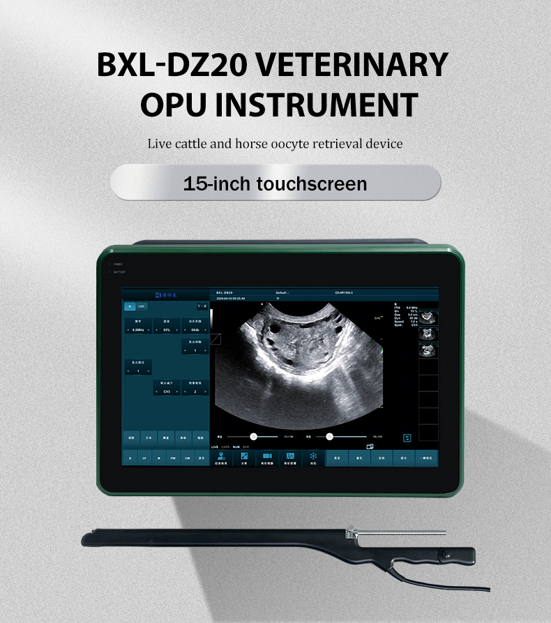 BXL-DZ20 Veterinary OPU Ultrasound Device(图1)