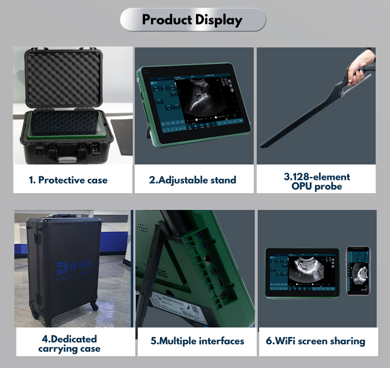 BXL-DZ20 Veterinary OPU Ultrasound Device(图6)