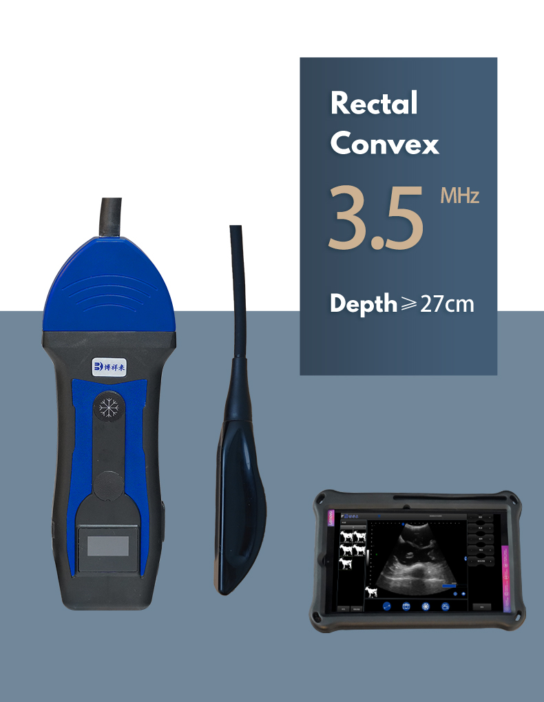 Portable wireless doppler veterinary ultrasound machine BXL-S204(图2)