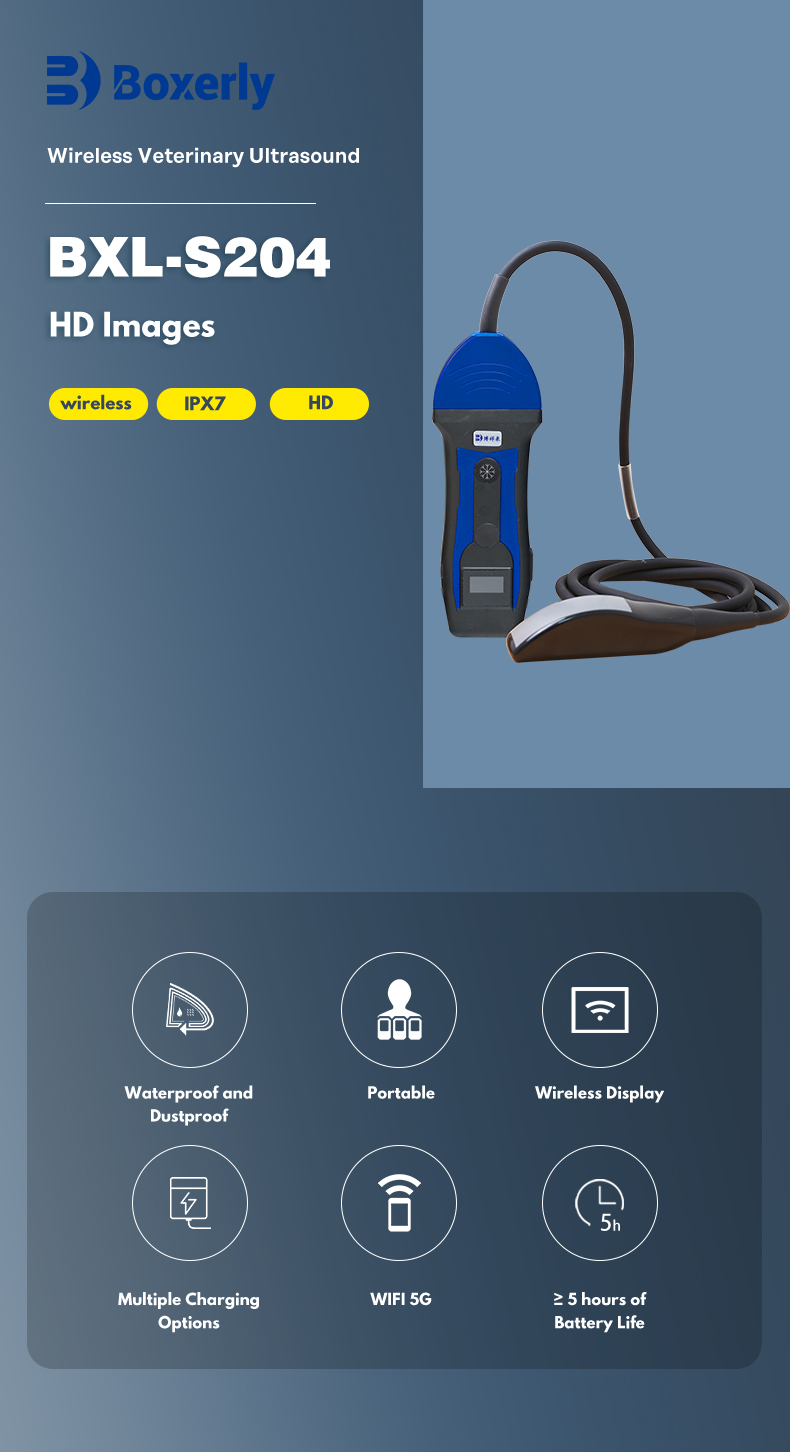 Portable wireless doppler veterinary ultrasound machine BXL-S204(图1)