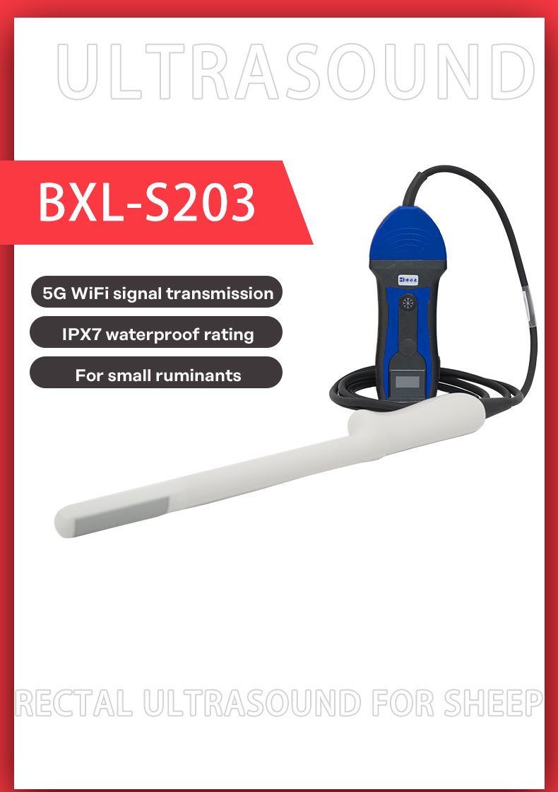 portable wireless doppler veterinary ultrasound machine BXL-S203(图1)