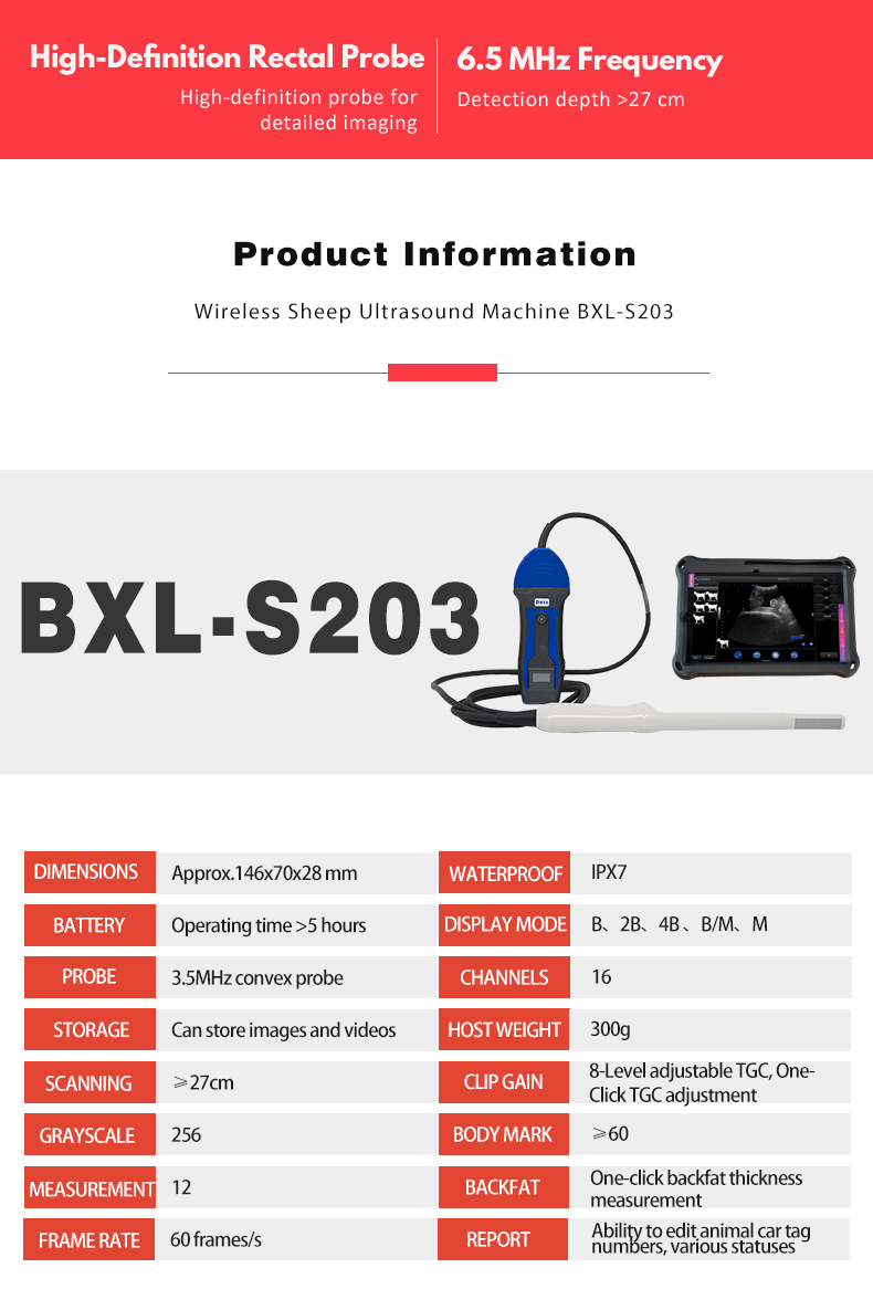 portable wireless doppler veterinary ultrasound machine BXL-S203(图3)